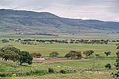 Sardinian landscape in spring